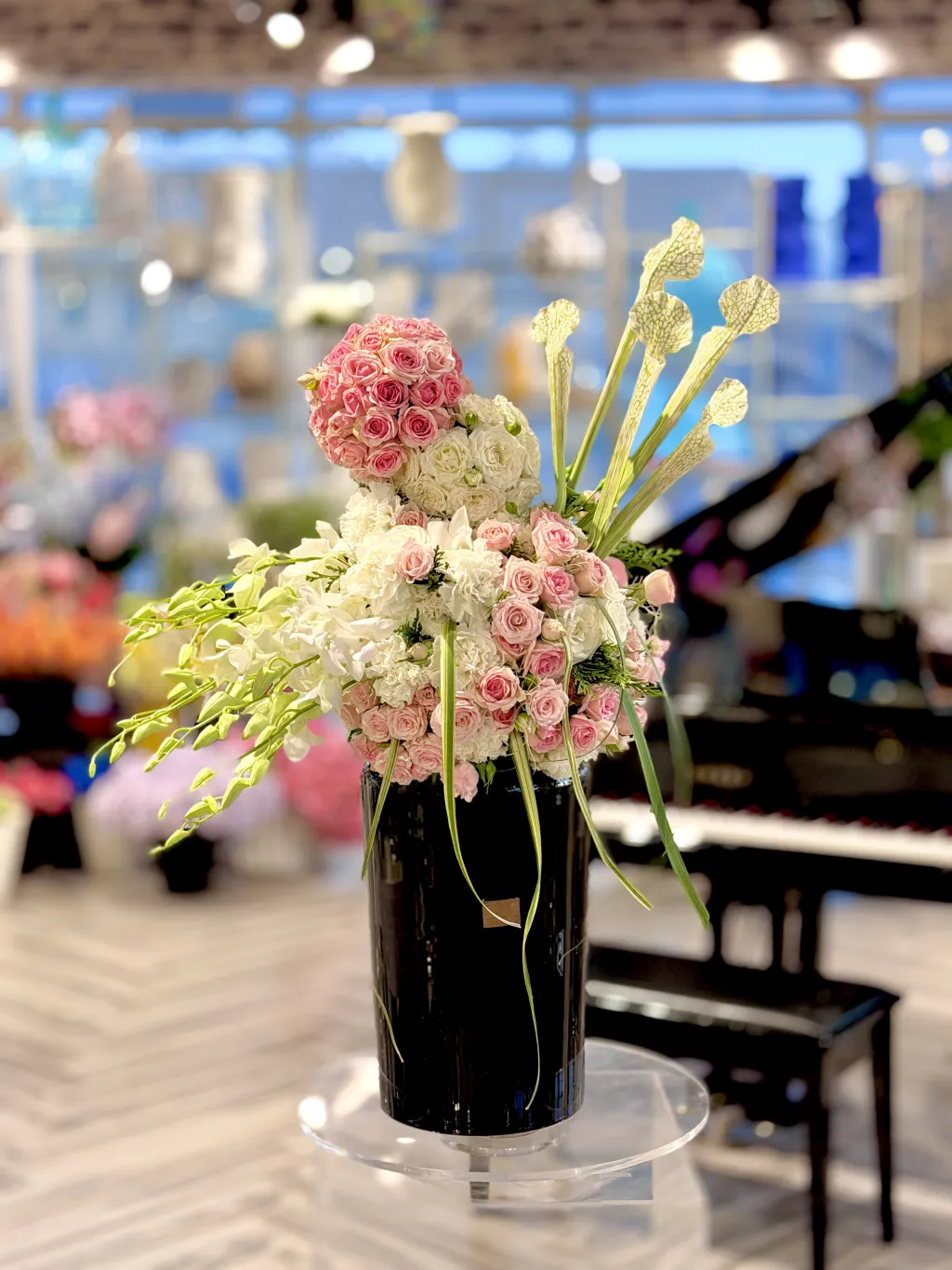 فازة كوراة البيبي روز